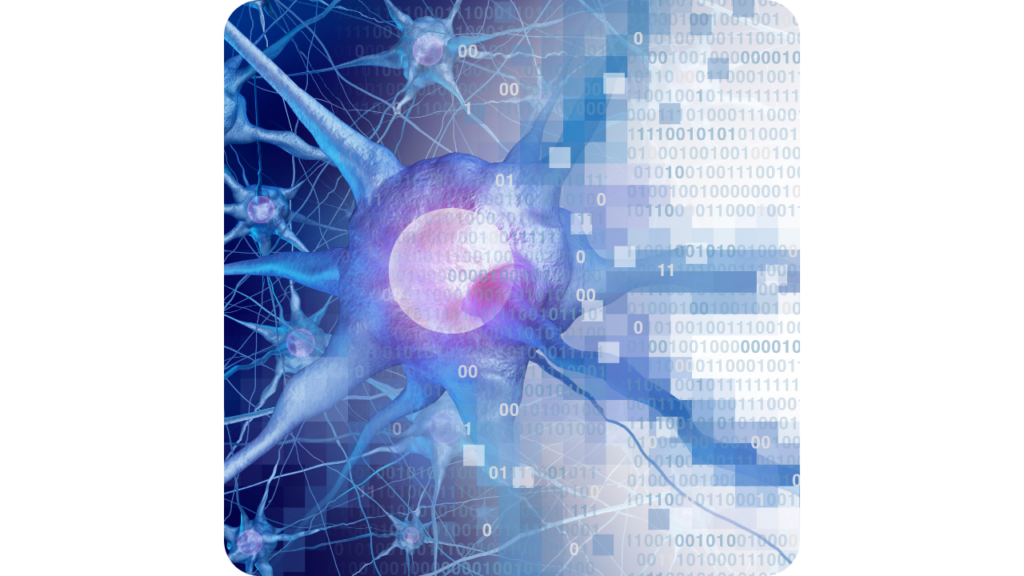 o que é neurociência comportamental